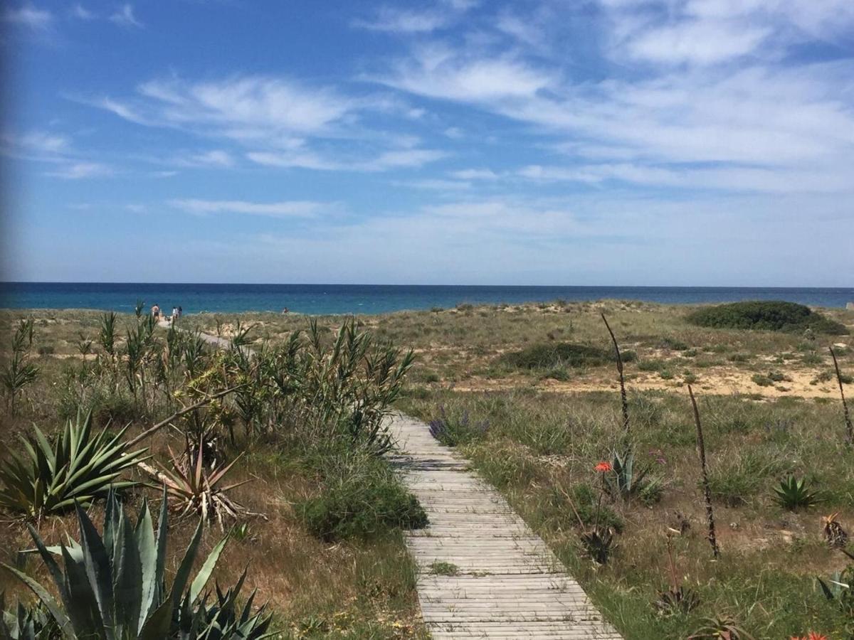 Apartasuites Royal Zahara, Maximo Confort Con Vistas Al Mar Zahara de los Atunes Exterior foto